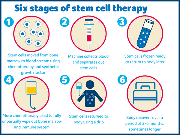 Stem Cell Therapy – Dr Susan Janssens